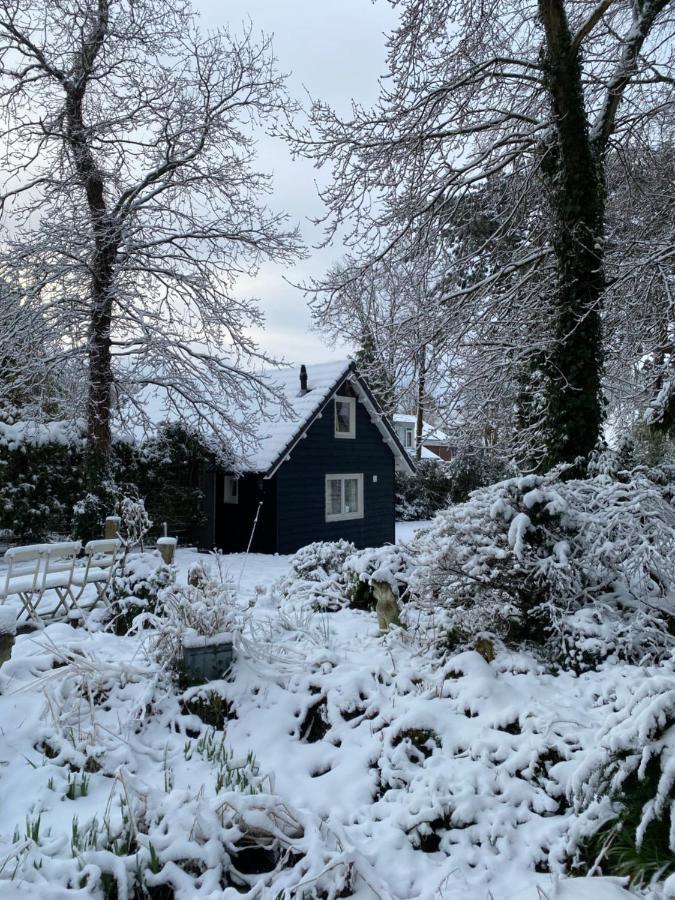 Garden Find Zandvoort Bentveld Exterior foto